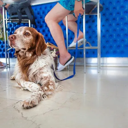 Eugenio 2* Чезенатико