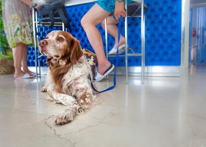 Eugenio 2* Cesenatico